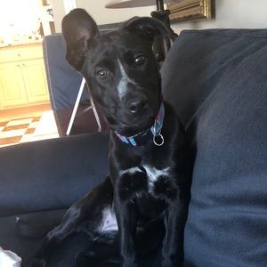 Meet your Posher, Victoria